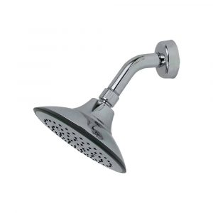 Regadera Florida Con Brazo Y Chapetón De Acero Inoxidable Rugo 44WG