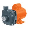 Bomba Centrífuga Para Agua De 3/4 Hp Truper 100389