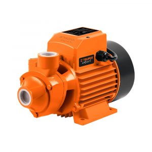 Bomba Periférica 3/4 Hp Truper Expert 10069