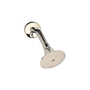 Regadera Con Brazo 3 1/2" Aksi 114802